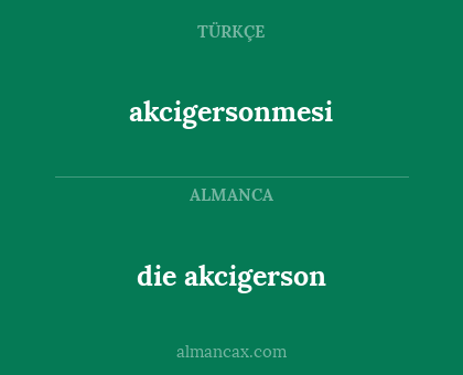 akcigersonmesi - die akcigerson