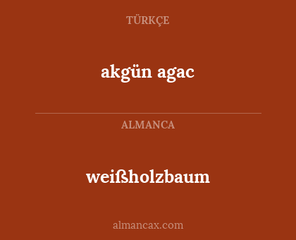 akgün agac - weißholzbaum