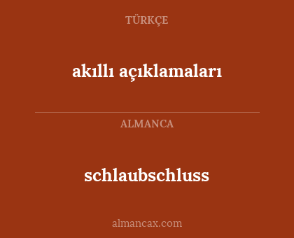 schlaubschluss - akıllı açıklamaları