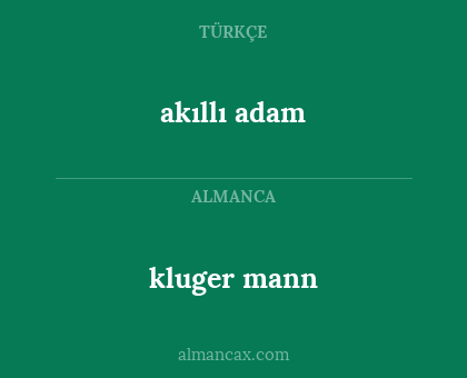 kluger mann - akıllı adam