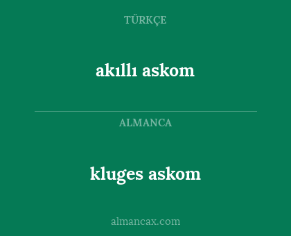 kluges askom - akıllı askom