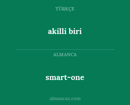akilli biri - smart-one