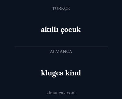akıllı çocuk - kluges kind