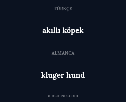 kluger hund - akıllı köpek