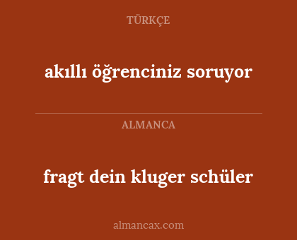 fragt dein kluger schüler - akıllı öğrenciniz soruyor
