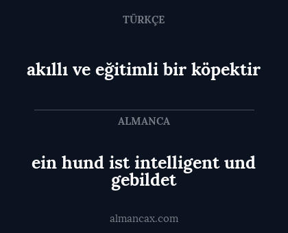 ein hund ist intelligent und gebildet - akıllı ve eğitimli bir köpektir