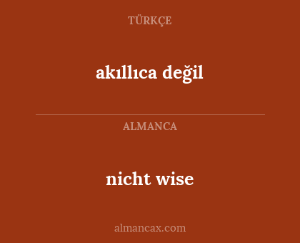 akıllıca değil - nicht wise