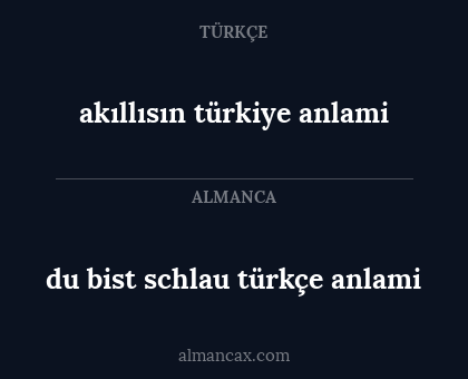 du bist schlau türkçe anlami - akıllısın türkiye anlami