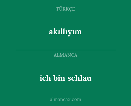 ich bin schlau - akıllıyım