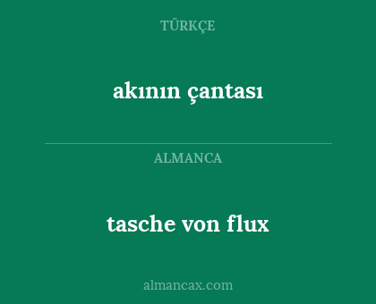 akının çantası - tasche von flux