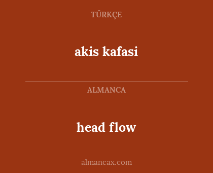 head flow - akis kafasi
