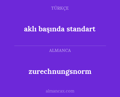 aklı başında standart - zurechnungsnorm