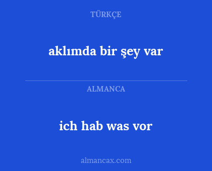 aklımda bir şey var - ich hab was vor