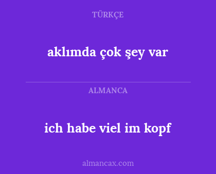 aklımda çok şey var - ich habe viel im kopf
