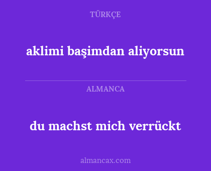 du machst mich verrückt - aklimi başimdan aliyorsun