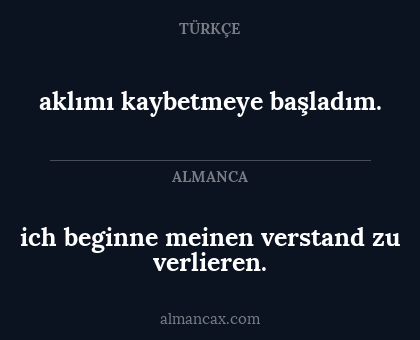 aklımı kaybetmeye başladım. - ich beginne meinen verstand zu verlieren.