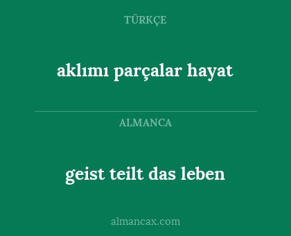 geist teilt das leben - aklımı parçalar hayat