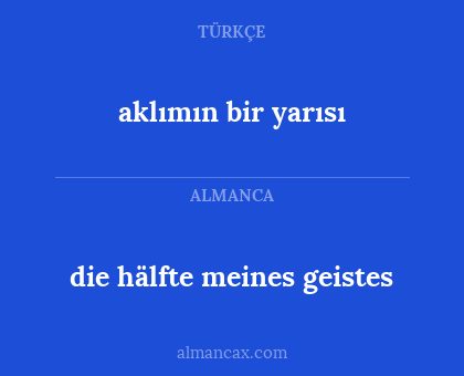 die hälfte meines geistes - aklımın bir yarısı