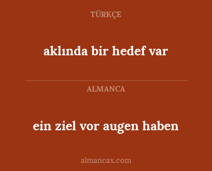 ein ziel vor augen haben - aklında bir hedef var
