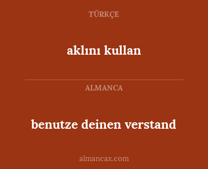 benutze deinen verstand - aklını kullan