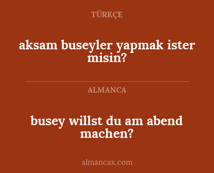 aksam buseyler yapmak ister misin? - busey willst du am abend machen?