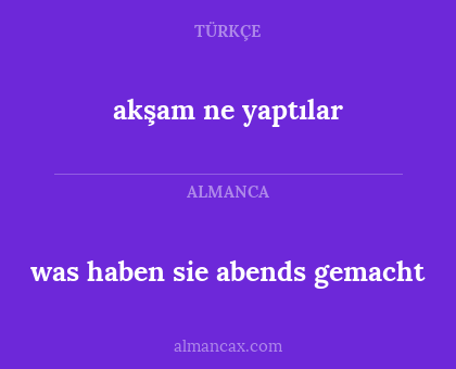 akşam ne yaptılar - was haben sie abends gemacht