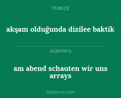 am abend schauten wir uns arrays - akşam olduğunda dizilee baktik