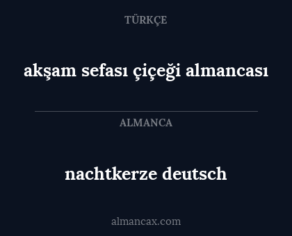 nachtkerze deutsch - akşam sefası çiçeği almancası