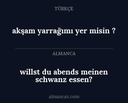 akşam yarrağımı yer misin ? - willst du abends meinen schwanz essen?