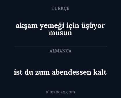 akşam yemeği için üşüyor musun - ist du zum abendessen kalt
