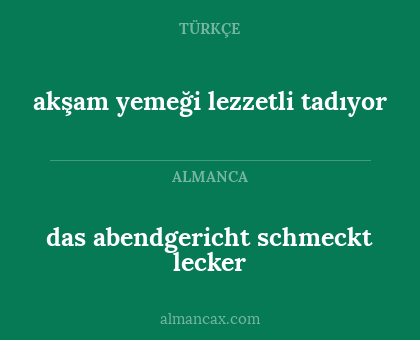 das abendgericht schmeckt lecker - akşam yemeği lezzetli tadıyor