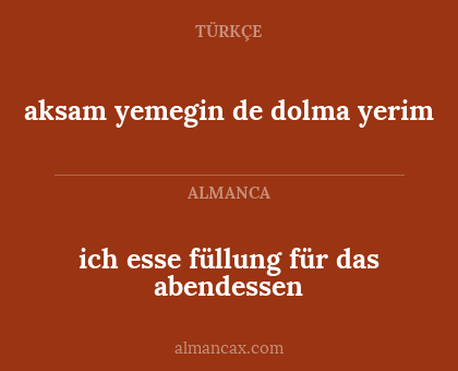 ich esse füllung für das abendessen - aksam yemegin de dolma yerim