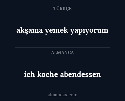 akşama yemek yapıyorum - ich koche abendessen