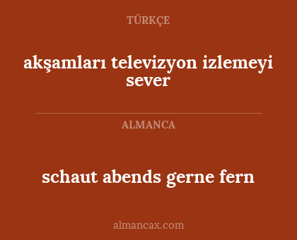 schaut abends gerne fern - akşamları televizyon izlemeyi sever