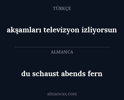 du schaust abends fern - akşamları televizyon izliyorsun