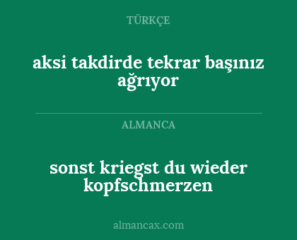 aksi takdirde tekrar başınız ağrıyor - sonst kriegst du wieder kopfschmerzen