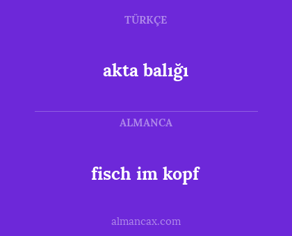 akta balığı - fisch im kopf