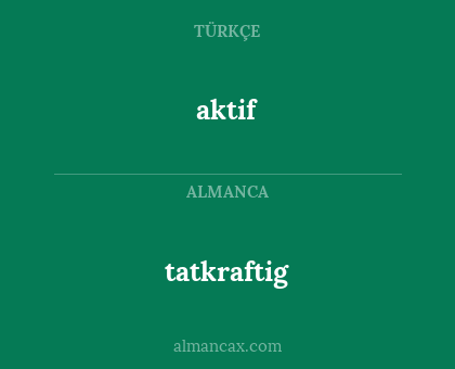 tatkraftig - aktif