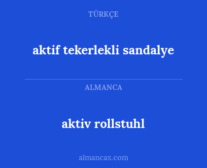 aktiv rollstuhl - aktif tekerlekli sandalye