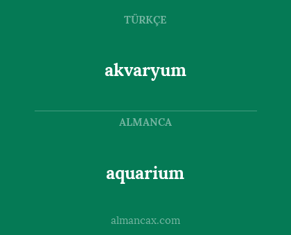 aquarium - akvaryum