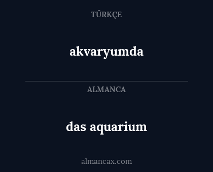 das aquarium - akvaryumda
