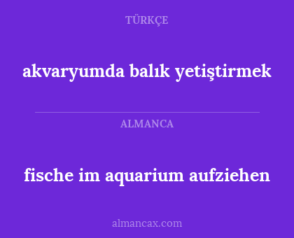 akvaryumda balık yetiştirmek - fische im aquarium aufziehen