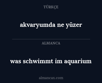 akvaryumda ne yüzer - was schwimmt im aquarium