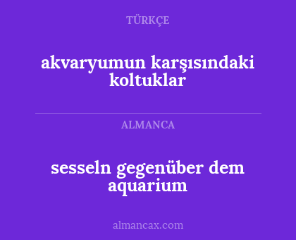 sesseln gegenüber dem aquarium - akvaryumun karşısındaki koltuklar