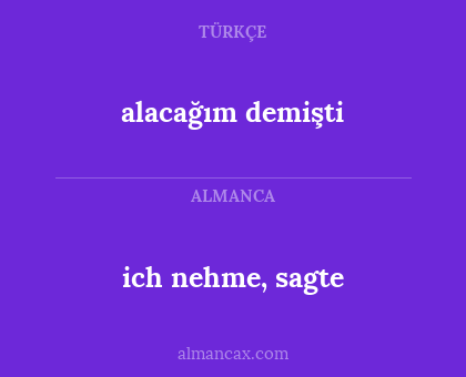 alacağım demişti - ich nehme, sagte