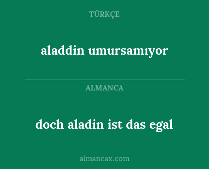 doch aladin ist das egal - aladdin umursamıyor