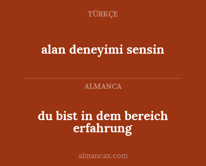 du bist in dem bereich erfahrung - alan deneyimi sensin