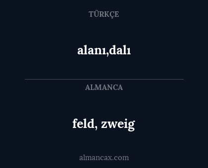 alanı,dalı - feld, zweig