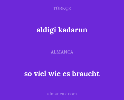 so viel wie es braucht - aldigi kadarun