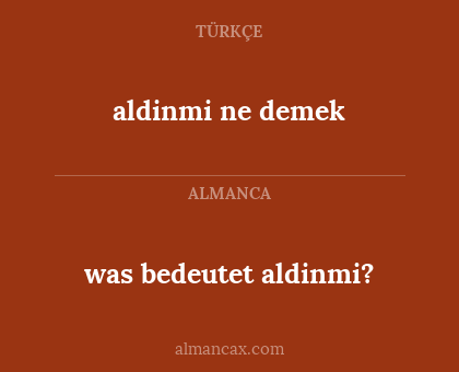aldinmi ne demek - was bedeutet aldinmi?